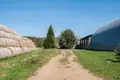 Дом  Боровской сельский Совет, Беларусь