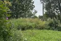 Haus 35 m² Pliescanicki sielski Saviet, Belarus