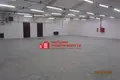 Produktion 978 m² Putryskauski sielski Saviet, Belarus