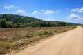 Atterrir 18 000 m² Kassandrino, Grèce