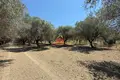 Atterrir  Panaje, Albanie