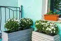 Квартира 4 комнаты 159 м² в Минске, Беларусь