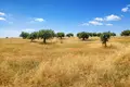 Grundstück 14 000 m² Kassandrino, Griechenland