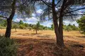 Atterrir 10 000 m² Neos Marmaras, Grèce