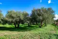Parcelas  Dramia, Grecia