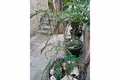 Haus 5 zimmer 200 m² Grad Korcula, Kroatien