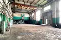Производство 879 м² в Заречье, Беларусь