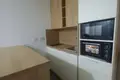 Квартира 1 спальня 50 м² Будва, Черногория
