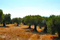 Land 1 room  Kassandra Municipality, Greece