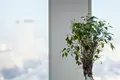 Office 381 m² in Moscow, Russia