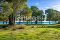 Parcelas 5 500 m² Municipality of Sithonia, Grecia