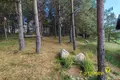 Cottage 88 m² Hajnienski sielski Saviet, Belarus