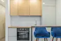 Apartamento 1 habitación 24 m² Alytus, Lituania