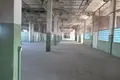 Producción 22 306 m² en Orsha, Belarús