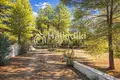 Parcelas 15 000 m² Nikiti, Grecia