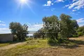 Земельные участки 4 316 м² Municipality of Sithonia, Греция