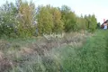 Parcelas 3 000 m² Novinki, Rusia