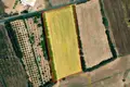 Land  Kouklia, Cyprus