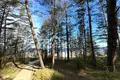 Maison 1 chambre 228 m² Jurmala, Lettonie