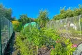 Haus 35 m² Alitten, Litauen