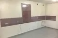 Dom 10 pokojów 481 m² Lymanka, Ukraina
