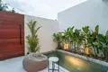 The Oasis Modern Villa