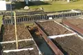 Casa 46 m² Miasocki sielski Saviet, Belarús