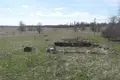 Land  Bolsevrudskoe selskoe poselenie, Russia