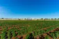 Villa de 5 pièces 260 m² San Cesario di Lecce, Italie