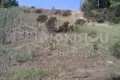 Atterrir 5 800 m² Siviri, Grèce