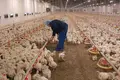 Propriété commerciale 60 000 m² à Karaganda, Kazakhstan