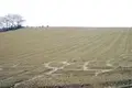 Grundstück 12 zimmer 430 000 m² Camporotondo di Fiastrone, Italien