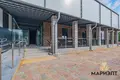 Commercial property 25 rooms 224 m² in Minsk, Belarus