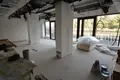Commercial property 376 m² in Krakow, Poland