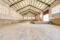 Almacén 1 439 m² en Novelda, Španjolska