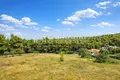 Parcelas 7 000 m² Municipio de Casandra, Grecia