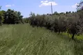 Atterrir 40 000 m² Terni, Italie