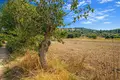 Parcelas 6 000 m² Kassandrino, Grecia