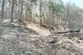 Дом 2 комнаты 82 м² Клинокский сельский Совет, Беларусь