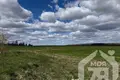 Dom 56 m² Rabuń, Białoruś