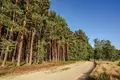 Квартира 808 м² Nowy Dwor, Польша