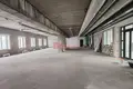 Pomieszczenie biurowe 231 m² w Mińsk, Białoruś