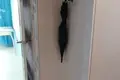 Mieszkanie 1 pokój 37 m² Orsza, Białoruś