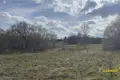 Land  Dziamidavicki sielski Saviet, Belarus