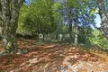 Вилла 5 спален 1 000 м² Ницца, Франция