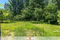 Maison 60 m² Rakauski sielski Saviet, Bélarus