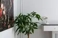 Wohnung 3 zimmer 66 m² Minsk, Belarus