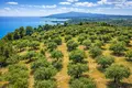 Land 9 312 m² Neos Marmaras, Greece