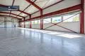 Коммерческое помещение 1 497 м² в Nemezis, Литва