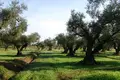 Działki 1 pokój  Zakynthos Municipality, Grecja